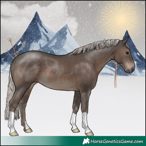 Horse Color:Silver Black 