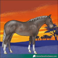Horse Color:Silver Black 