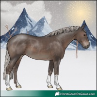 Horse Color:Silver Black