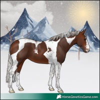 Horse Color:Silver Brown Tobiano