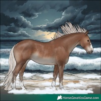 Horse Color:Silver Black Rabicano 