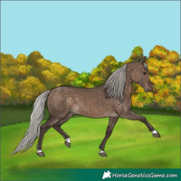 Horse Color:Silver Brown Dun