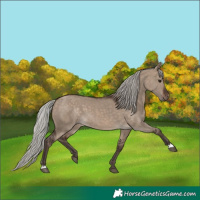 Horse Color:Silver Brown Dun 