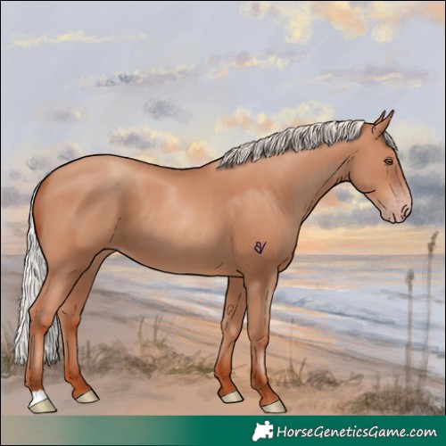 Horse Color:Silver Classic Champagne 
