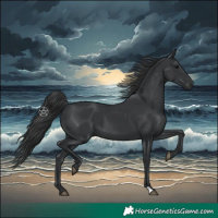 Horse Color:Black 