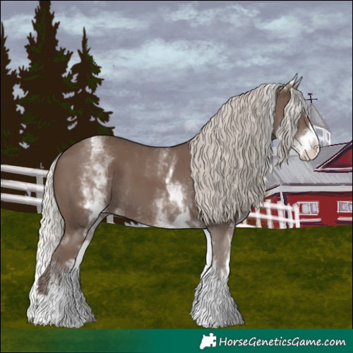 Horse Color:White Spotted Silver Black Splash 