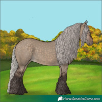 Horse Color:Silver Brown Dun