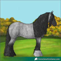 Horse Color:Blue Roan 