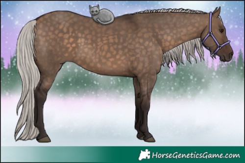 Horse Color:Silver Brown Dun 