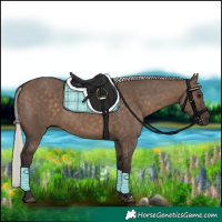 Horse Color:Silver Brown Dun 