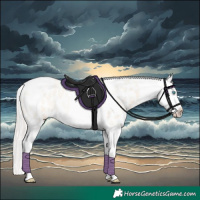Horse Color:Silver Amber Champagne Roan Dun Splash Tobiano Frame Appaloosa Rabicano 