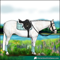 Horse Color:Silver Amber Champagne Roan Dun Splash Tobiano Frame Appaloosa Rabicano