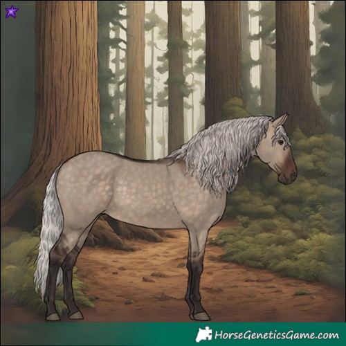 Horse Color:Silver Brown Dun