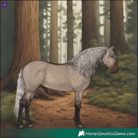 Horse Color:Silver Brown Dun 