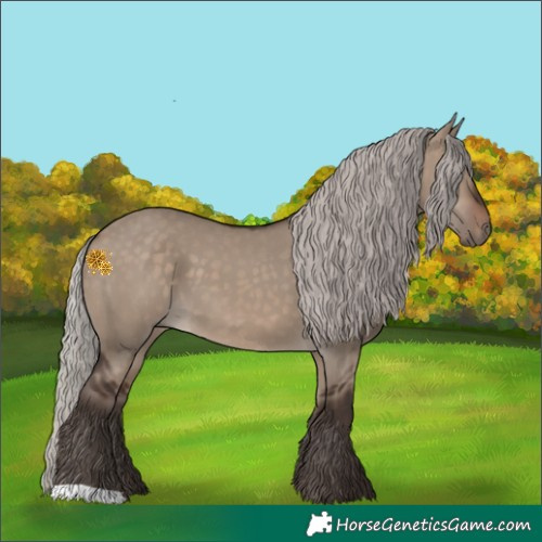 Horse Color:Silver Brown Dun