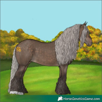 Horse Color:Silver Brown Dun 