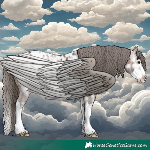 Horse Color:Bay Ice Splash Appaloosa 