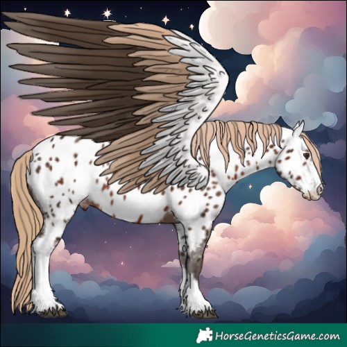 Horse Color:Liver Chestnut Sabino Tobiano Appaloosa