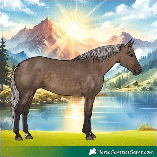 Horse Color:Silver Brown Dun 