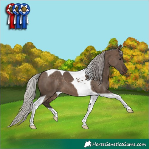 Horse Color:Silver Brown Dun Tobiano 