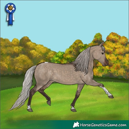 Horse Color:Silver Brown Dun Tobiano 