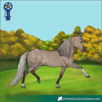 Horse Color:Silver Brown Dun Tobiano 