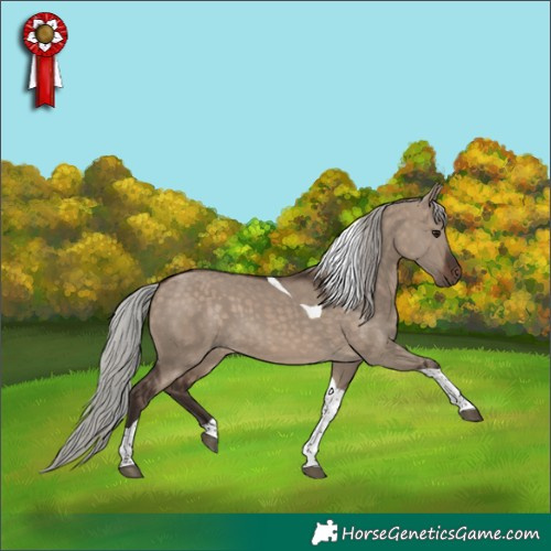 Horse Color:Silver Brown Dun Tobiano 