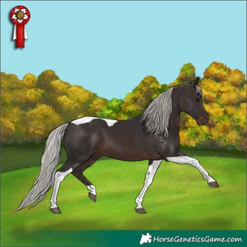 Horse Color:Silver Brown Tobiano 