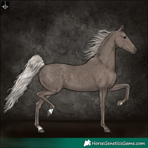 Horse Color:Silver Black