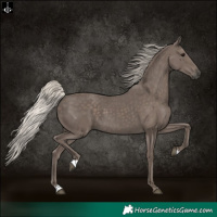 Horse Color:Silver Black 