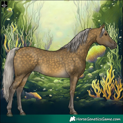 Horse Color:Silver Buckskin Dun 