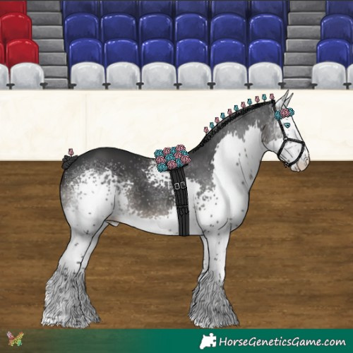 Horse Color:White Spotted Black Splash 