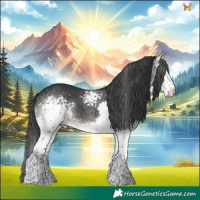 Horse Color:White Spotted Black Splash 