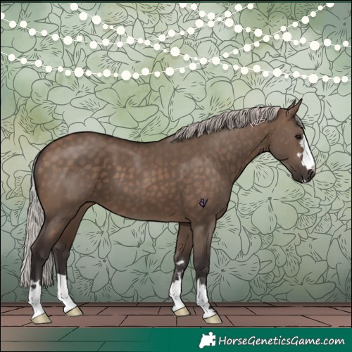 Horse Color:Silver Brown Dun 