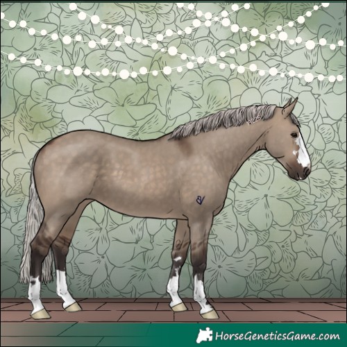 Horse Color:Silver Brown Dun 