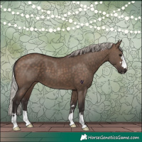 Horse Color:Silver Brown Dun 