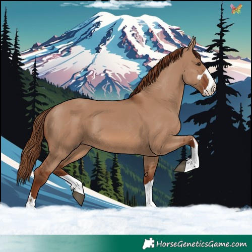 Horse Color:Red Dun