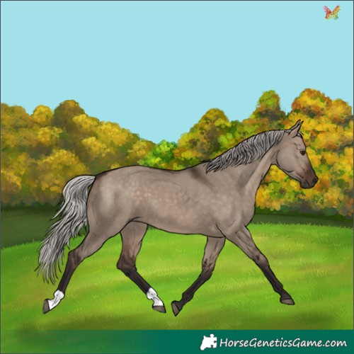 Horse Color:Silver Brown Dun
