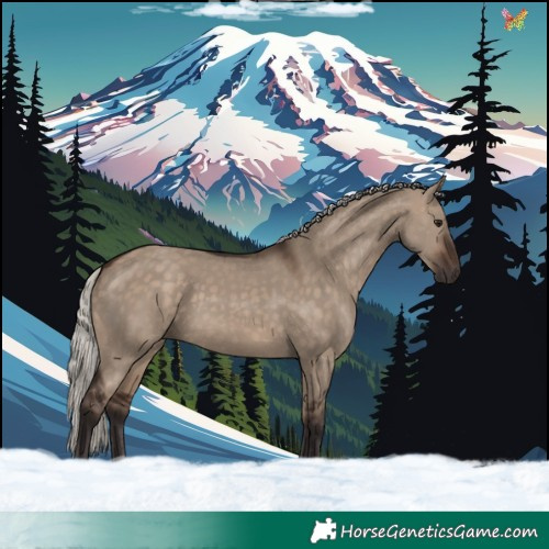 Horse Color:Silver Brown Dun 