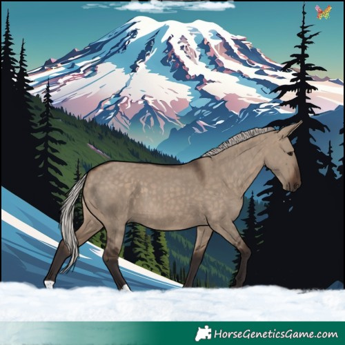 Horse Color:Silver Brown Dun 