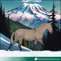 Horse Color:Silver Brown Dun 