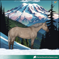 Horse Color:Silver Brown Dun 
