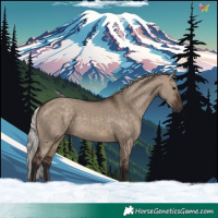 Horse Color:Silver Brown Dun 