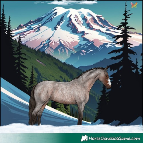 Horse Color:Liver Red Roan