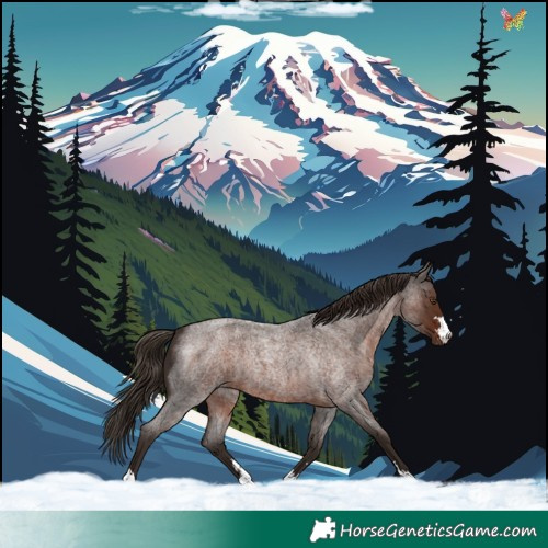 Horse Color:Liver Red Roan 