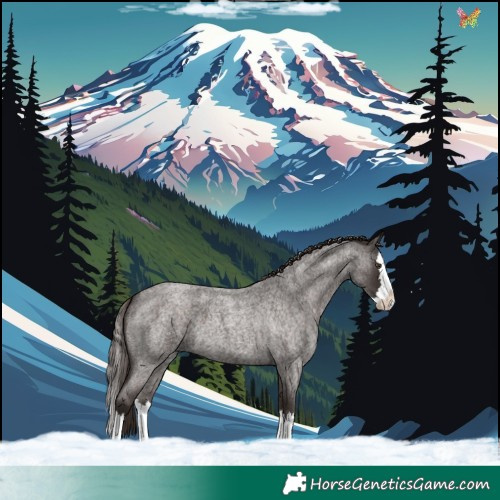 Horse Color:Liver Red Roan Splash