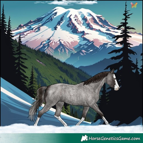 Horse Color:Liver Red Roan Splash 