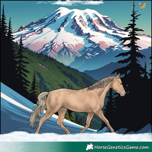 Horse Color:Gold Champagne 