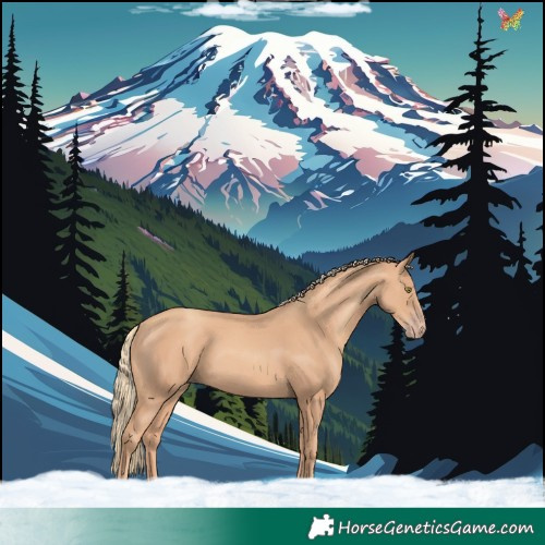 Horse Color:Gold Champagne
