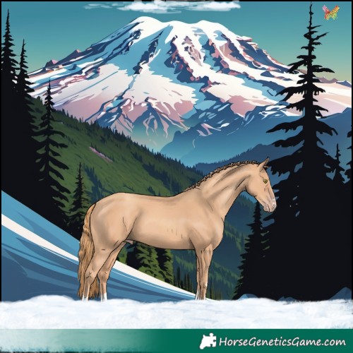 Horse Color:Gold Champagne 